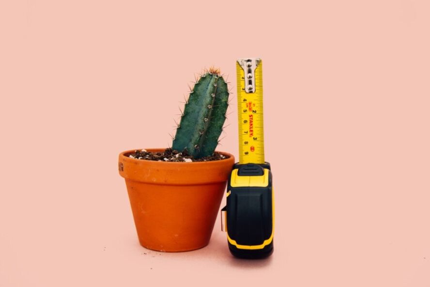 Small penis size is a big problem for men
