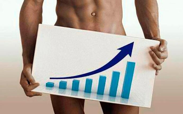 increase in penis girth